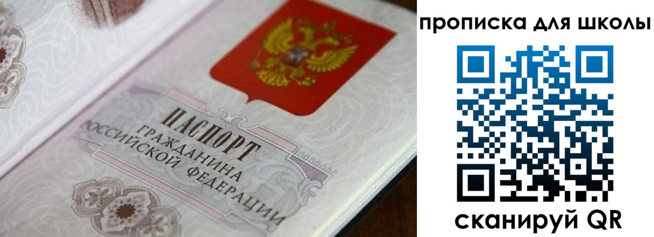 прописка для работы в Краснодаре